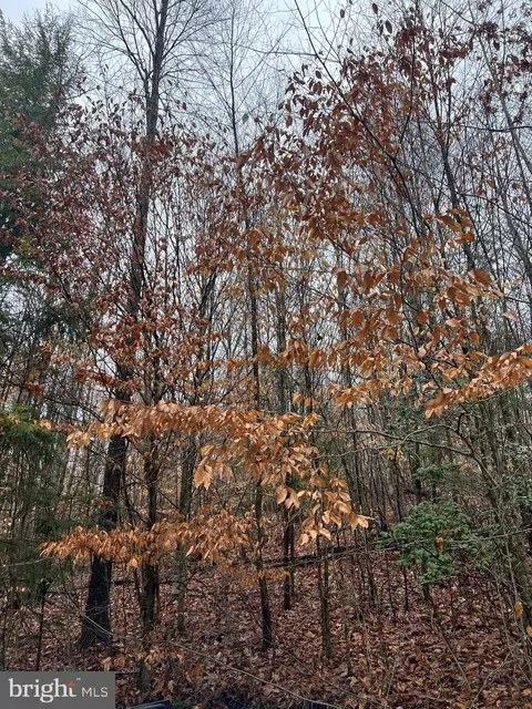 Sog 47.56 Grassy Run Grassy Run Rd, Buckhannon, WV 26201