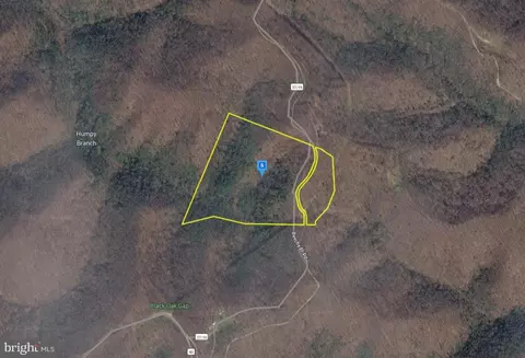 111 Beechy Br Rd, Dunlow, WV 25511