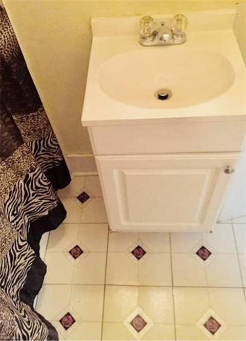259 Pine St, Suffolk, VA 23434 photo 9