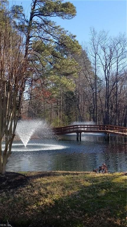 19 Autumn E, Williamsburg, VA 23188 photo 39