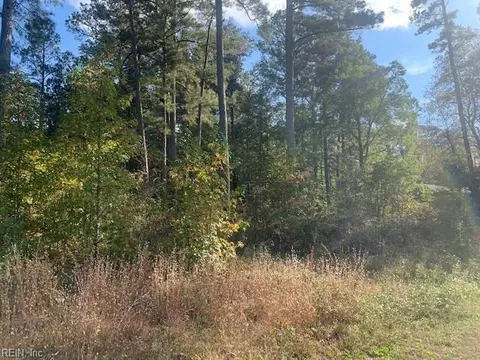 41 Ac Pinehaven Rd, Southampton County, VA 23837