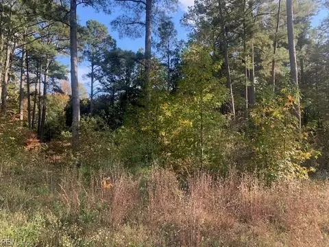 42 Ac Pinehaven Rd, Southampton County, VA 23837