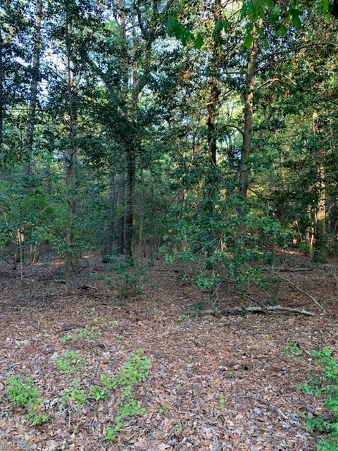 17 8ac Cherry Point Rd, Mathews County, VA 23066