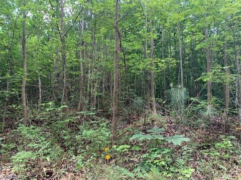 4 67ac Clarke Rd, New Kent County, VA 23089
