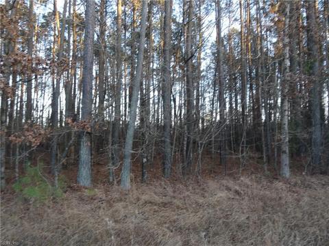 23866 Strawberry Plains Road # 10, Isle Of Wight County, VA 23866