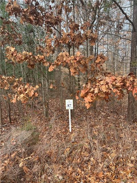 1 32ac Barrique Rd, New Kent County, VA 23124