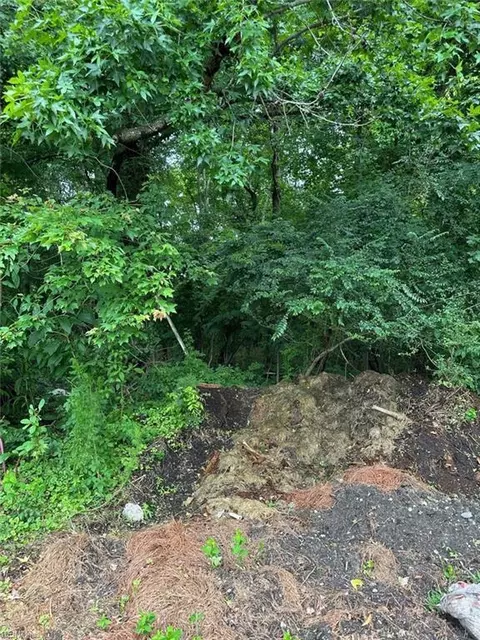 4225 Clifton St, Suffolk, VA 23435