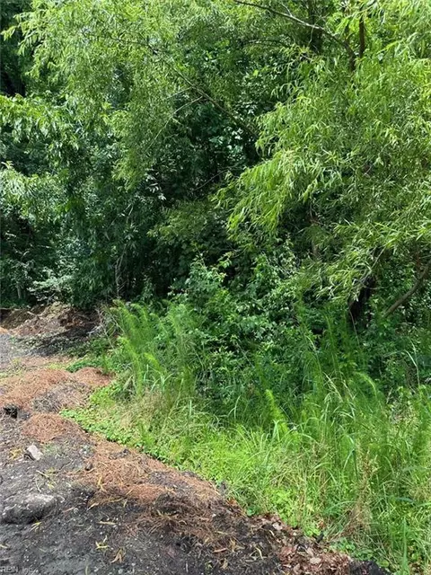 18 Ac Clifton St, Suffolk, VA 23435
