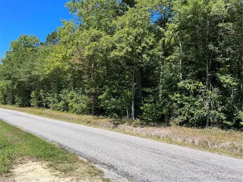 28 Ac Vicksville Rd, Southampton County, VA 23878
