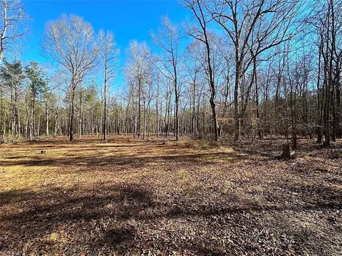 32 Ac Big Pine Rd, Accomack County, VA 23420