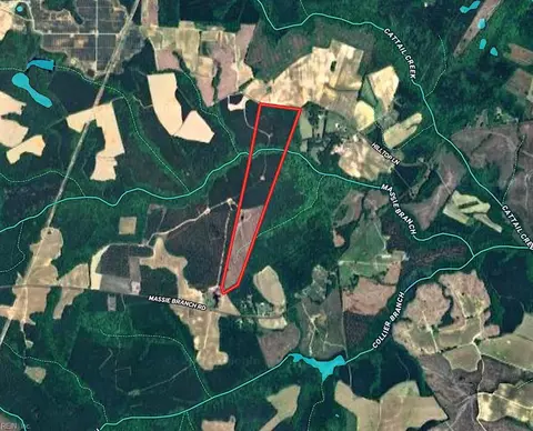 70 Acres Hilltop Ln, Greensville County, VA 23879
