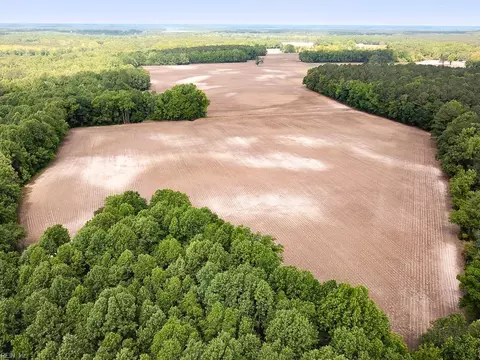 71 Ac Bobcat Ln, Isle Of Wight County, VA 23851