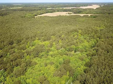 1 75ac Kegotank Rd, Accomack County, VA 23414