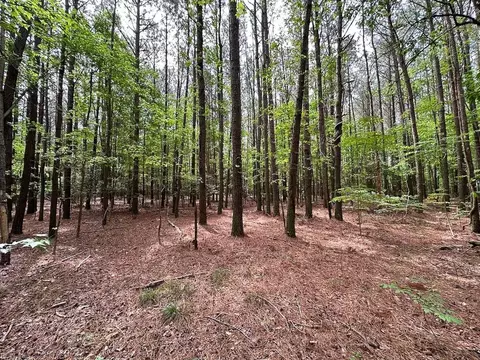 1 75ac Kegotank Rd, Accomack County, VA 23414 photo 6