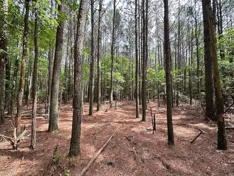 1 75ac Kegotank Rd, Accomack County, VA 23414 photo 11