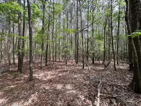 1 75ac Kegotank Rd, Accomack County, VA 23414 photo 12