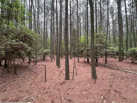 1 75ac Kegotank Rd, Accomack County, VA 23414 photo 14