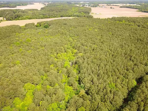 1 75ac Kegotank Rd, Accomack County, VA 23414 photo 2