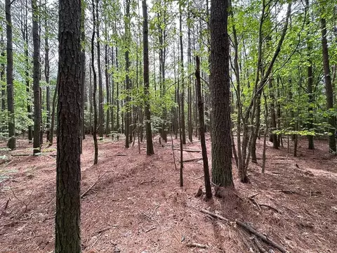 1 75ac Kegotank Rd, Accomack County, VA 23414 photo 8