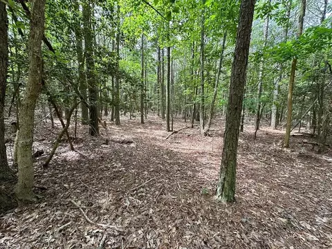 1 75ac Kegotank Rd, Accomack County, VA 23414 photo 13