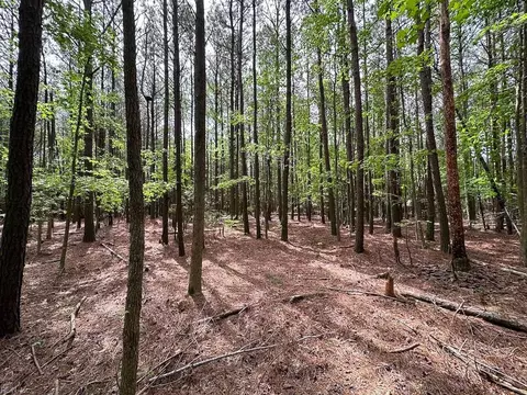 1 75ac Kegotank Rd, Accomack County, VA 23414 photo 7