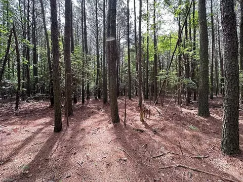 1 75ac Kegotank Rd, Accomack County, VA 23414 photo 10