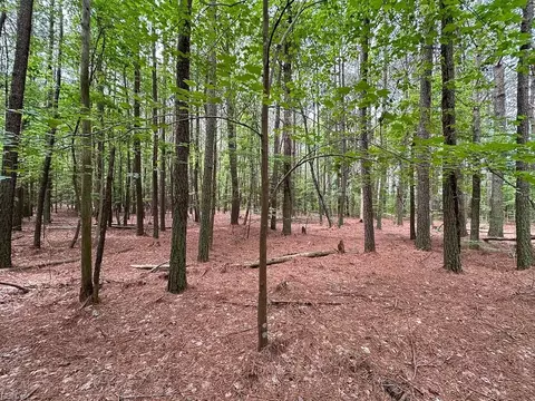 1 75ac Kegotank Rd, Accomack County, VA 23414 photo 3
