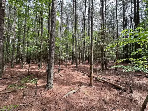 1 75ac Kegotank Rd, Accomack County, VA 23414 photo 9