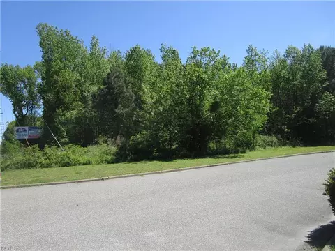 14 Ac Carrollton Blvd, Isle Of Wight County, VA 23314