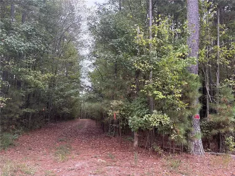 lot12 Strawberry Plains Rd, Isle Of Wight County, VA 23866