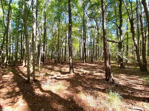 112 Ac Cattail Rd, Accomack County, VA 23409