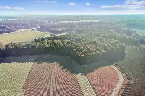 1 9ac White Oak Rd, Gates County, NC 27935