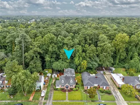 View/Area - 1003 Delaware Ave, Suffolk, VA 23434 photo 3 of 5