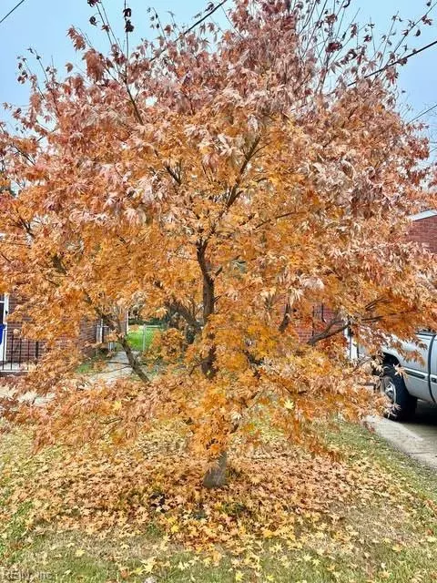 9326 Mason Creek Rd, Norfolk, VA 23503