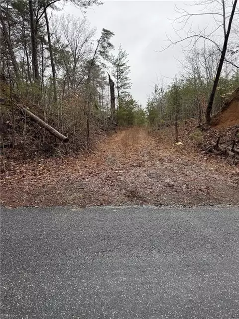 6 Ac Cheaneys Bridge Rd, Essex County, VA 22454