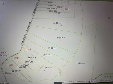 42 Ac Strawberry Plains Rd, Isle Of Wight County, VA 23866