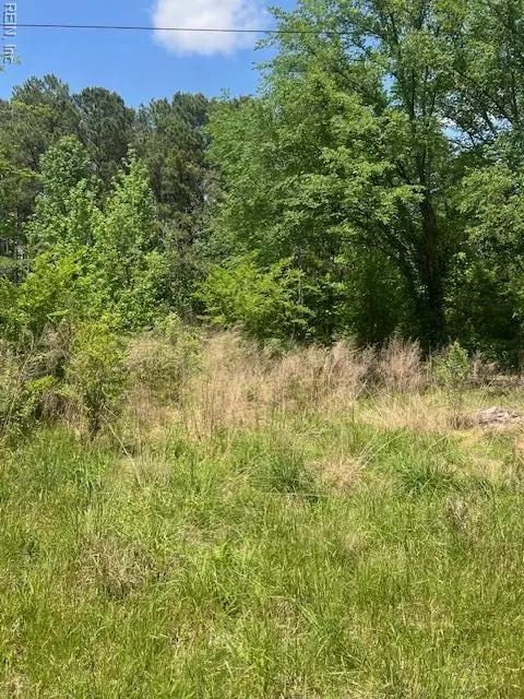 26 Ac Thomaston Rd, Southampton County, VA 23874
