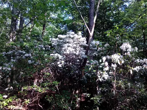 25 Ac Millers Landing Rd, Gloucester County, VA 23190