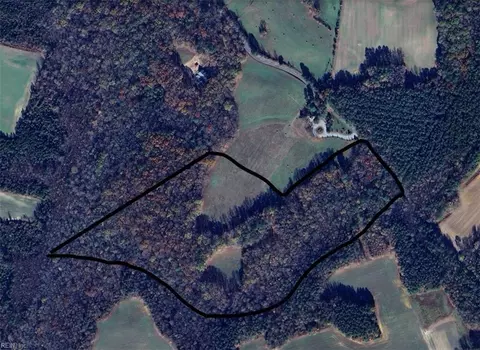 40 9ac White Meadow Rd, Southampton County, VA 23827