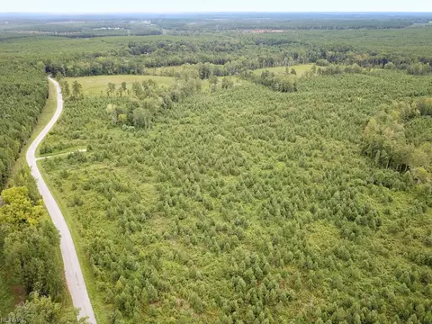 93 Ac Zero Rd, Brunswick County, VA 23889