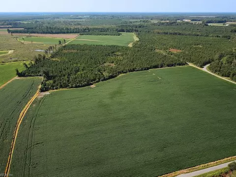 132 Acres Beal Rd, Southampton County, VA 23874