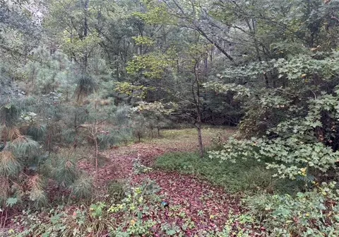 33 Ac Central Hill Rd, Isle Of Wight County, VA 23487