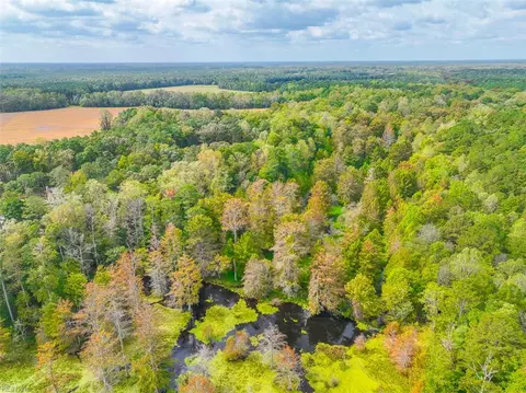 View/Area - 9161 Whispering Pines Trl, Windsor, VA 23487 photo 4 of 5