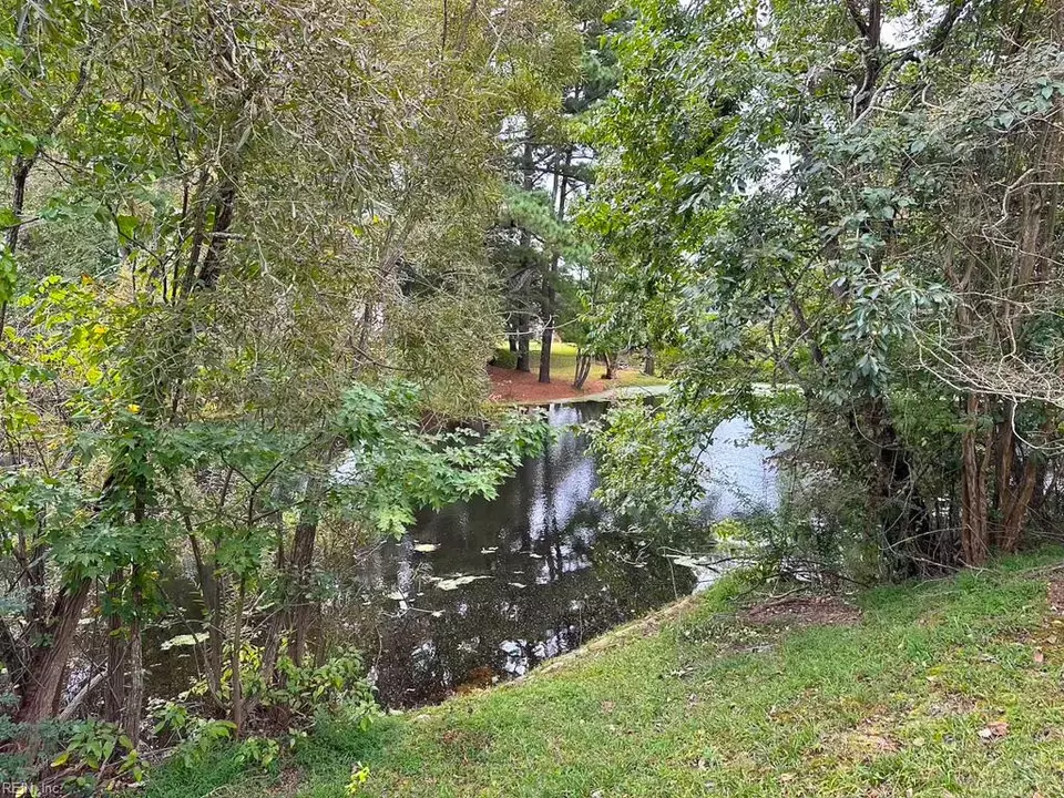 View/Area - 1236 Willowbrook Dr, Suffolk, VA 23434 photo 2 of 3