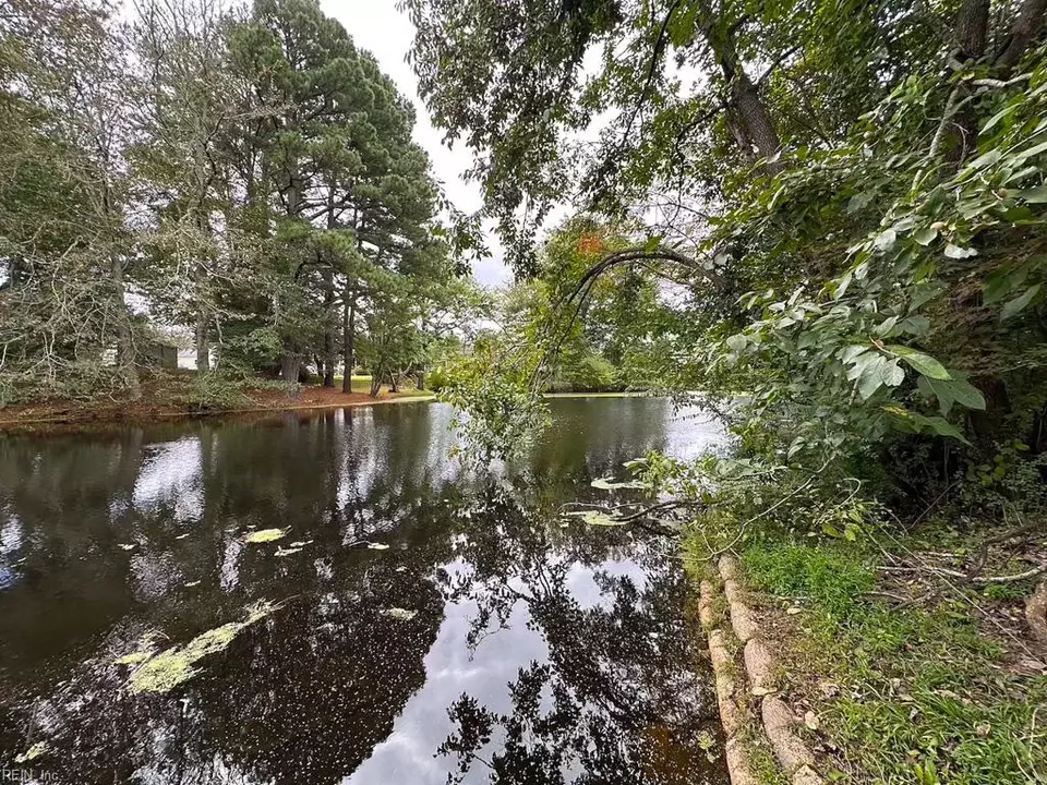 View/Area - 1236 Willowbrook Dr, Suffolk, VA 23434 photo 3 of 3