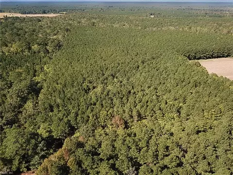 15 Acres Cypress Chapel Rd, Suffolk, VA 23434