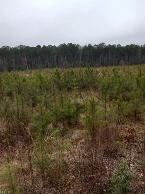 lot9 Saw Mill Ln, Gloucester, VA 23061