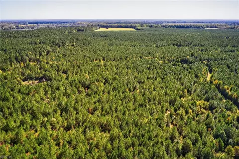 572 Ac Buckhorn Rd Chappell Dr, Suffolk, VA 23437