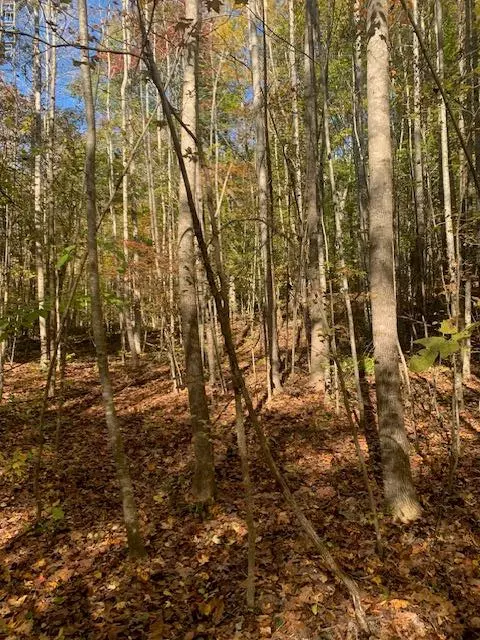 17 Ac Tc Walker Rd Rt 629 Ln, Gloucester, VA 23061 photo 4
