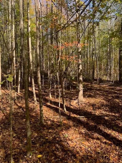 17 Ac Tc Walker Rd Rt 629 Ln, Gloucester, VA 23061